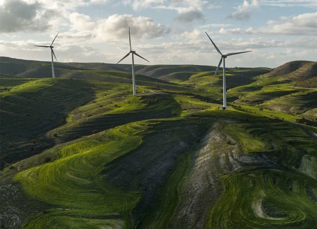 Eerald VC - Decarbonization & Renewables
