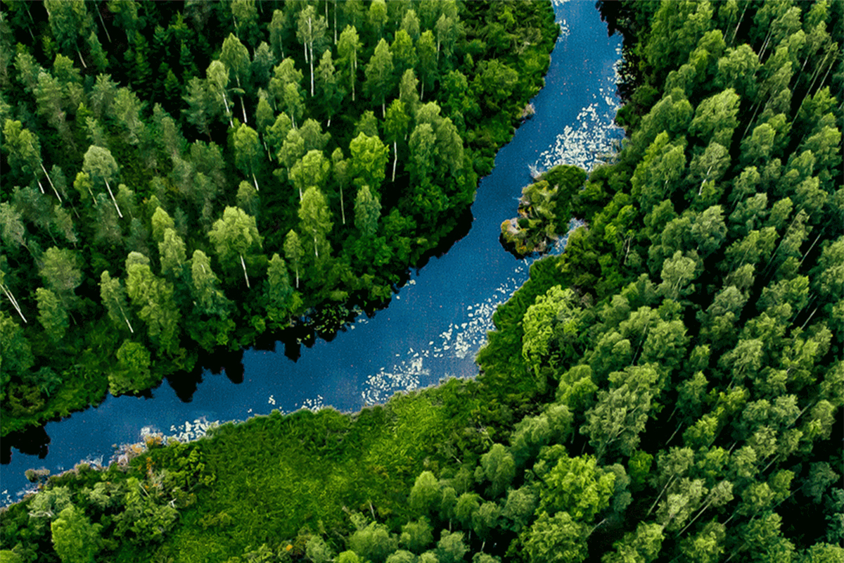 Eerald VC - Water Quality