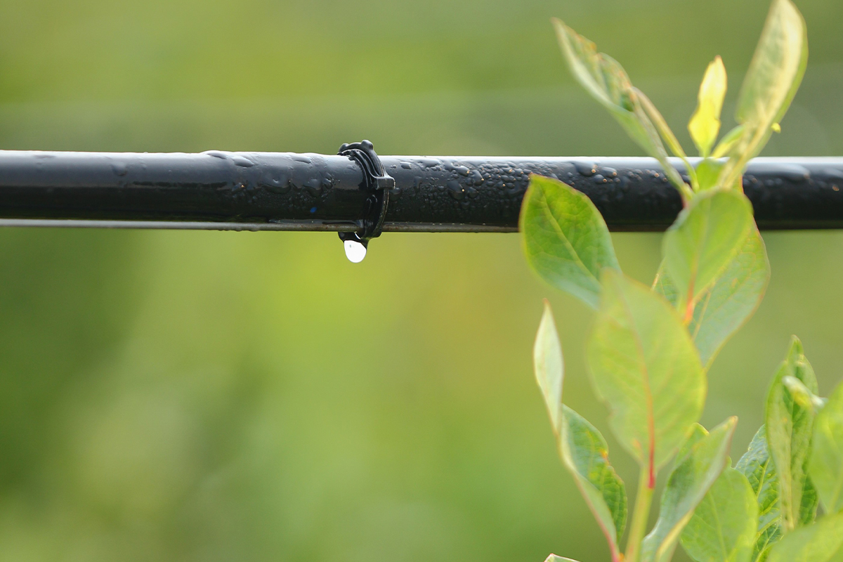 Eerald VC - Water Conservation