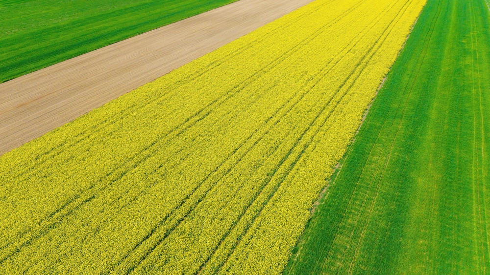 Eerald VC - On-Farm Productivity & Regenerative Agriculture